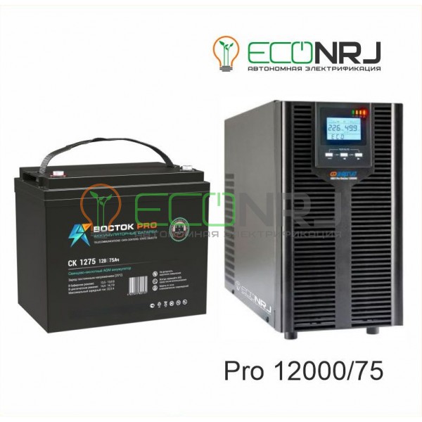ИБП Энергия Pro OnLine 12000 + Аккумуляторная батарея ВОСТОК PRO СК-1275