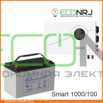 ИБП Powerman Smart 1000 INV + Аккумуляторная батарея LEOCH DJM12100