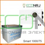 ИБП Powerman Smart 1000 INV + Аккумуляторная батарея LEOCH DJM1275