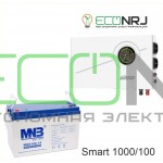 ИБП Powerman Smart 1000 INV + Аккумуляторная батарея MNB MNG100-12