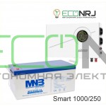 ИБП Powerman Smart 1000 INV + Аккумуляторная батарея MNB MNG250-12