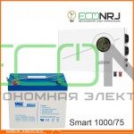 ИБП Powerman Smart 1000 INV + Аккумуляторная батарея MNB MNG75-12