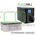 ИБП POWERMAN ONLINE 1000 Plus + Аккумуляторная батарея LEOCH DJM12250