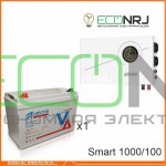 ИБП Powerman Smart 1000 INV + Аккумуляторная батарея Vektor GL 12-100