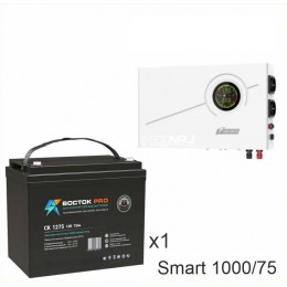 ИБП Powerman Smart 1000 INV + ВОСТОК PRO СК-1275