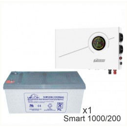 ИБП Powerman Smart 1000 INV + LEOCH DJM12200