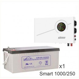 ИБП Powerman Smart 1000 INV + LEOCH DJM12250