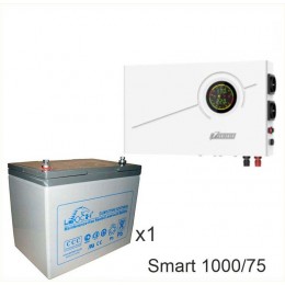 ИБП Powerman Smart 1000 INV + LEOCH DJM1275