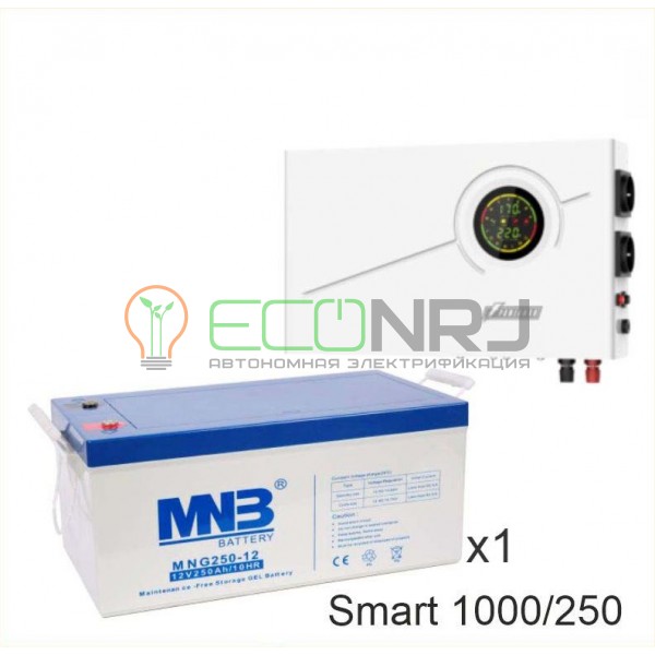 ИБП Powerman Smart 1000 INV + Аккумуляторная батарея MNB MNG250-12