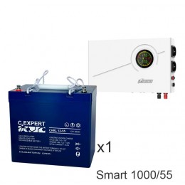 ИБП Powerman Smart 1000 INV + ETALON CHRL 12-55
