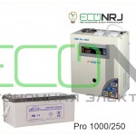 Инвертор (ИБП) Энергия PRO-1000 + Аккумуляторная батарея LEOCH DJM12250