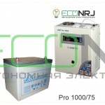 Инвертор (ИБП) Энергия PRO-1000 + Аккумуляторная батарея LEOCH DJM1275