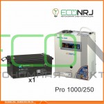 Инвертор (ИБП) Энергия PRO-1000 + Аккумуляторная батарея ВОСТОК PRO СК-12250