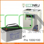 Инвертор (ИБП) Энергия PRO-1000 + Аккумуляторная батарея LEOCH DJM12100
