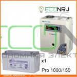 Инвертор (ИБП) Энергия PRO-1000 + Аккумуляторная батарея LEOCH DJM12150