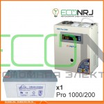 Инвертор (ИБП) Энергия PRO-1000 + Аккумуляторная батарея LEOCH DJM12200
