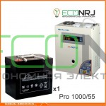 Инвертор (ИБП) Энергия PRO-1000 + Аккумуляторная батарея LEOCH DJM1255