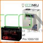 Инвертор (ИБП) Энергия PRO-1000 + Аккумуляторная батарея CSB GP121000