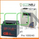 Инвертор (ИБП) Энергия PRO-1000 + Аккумуляторная батарея CSB GP12400