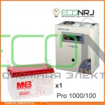 Инвертор (ИБП) Энергия PRO-1000 + Аккумуляторная батарея MNB MМ100-12