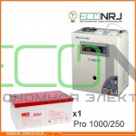Инвертор (ИБП) Энергия PRO-1000 + Аккумуляторная батарея MNB MМ250-12