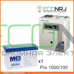 Инвертор (ИБП) Энергия PRO-1000 + Аккумуляторная батарея MNB MNG100-12