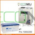 Инвертор (ИБП) Энергия PRO-1000 + Аккумуляторная батарея MNB MNG200-12