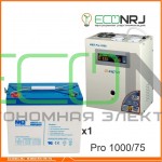 Инвертор (ИБП) Энергия PRO-1000 + Аккумуляторная батарея MNB MNG75-12