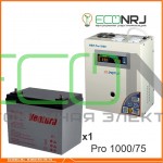 Инвертор (ИБП) Энергия PRO-1000 + Аккумуляторная батарея Ventura GPL 12-75