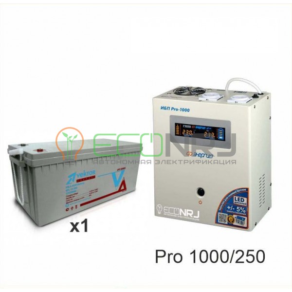 Инвертор (ИБП) Энергия PRO-1000 + Аккумуляторная батарея Vektor GL 12-250