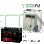 Инвертор (ИБП) Энергия PRO-1000 + Аккумуляторная батарея CSB GP121000