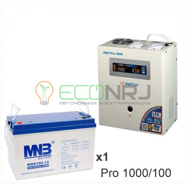 Инвертор (ИБП) Энергия PRO-1000 + Аккумуляторная батарея MNB MNG100-12