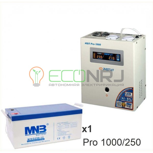 Инвертор (ИБП) Энергия PRO-1000 + Аккумуляторная батарея MNB MNG250-12
