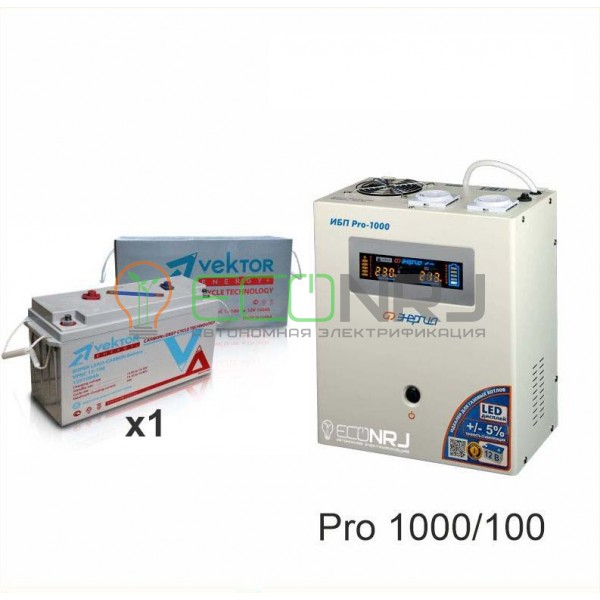 Инвертор (ИБП) Энергия PRO-1000 + Аккумуляторная батарея Vektor VPbC 12-100