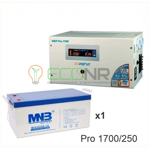 Инвертор (ИБП) Энергия PRO-1700 + Аккумуляторная батарея MNB MNG250-12