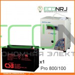 Инвертор (ИБП) Энергия PRO-800 + Аккумуляторная батарея CSB GP121000