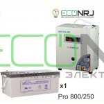 Инвертор (ИБП) Энергия PRO-800 + Аккумуляторная батарея LEOCH DJM12250
